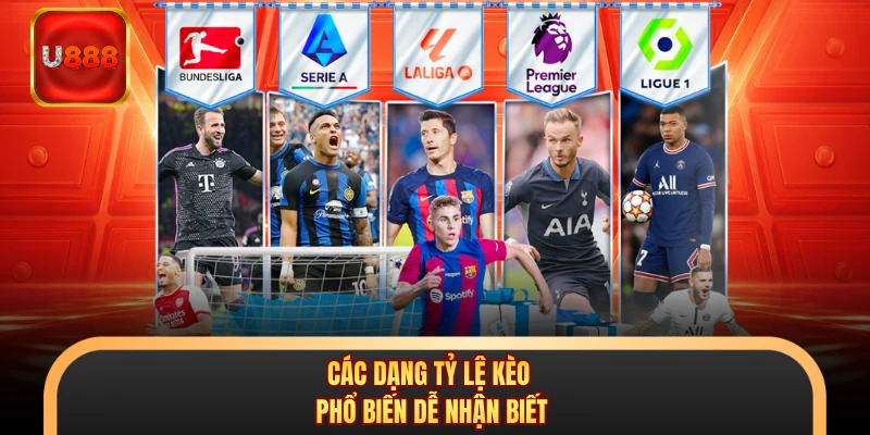 Các dạng tỷ lệ kèo phổ biến dễ nhận biết