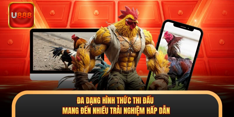 Đa dạng hình thức thi đấu mang đến nhiều trải nghiệm hấp dẫn